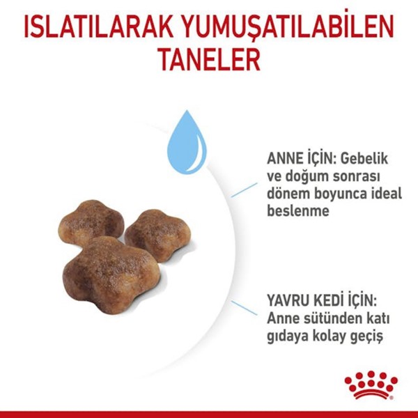 ROYAL CANİN CAT MOTHER & BABY 4 KG*4
